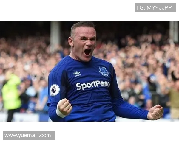 热刺与埃弗顿精彩对决回放全程回顾与赛后分析